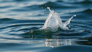 A droplet landing on water surface photo