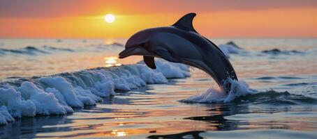 A leaping dolphin silhouetted against a sunset wave photo