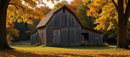 A rustic barn amidst goldenleafed autumn forest radiating nostalgic country charm photo
