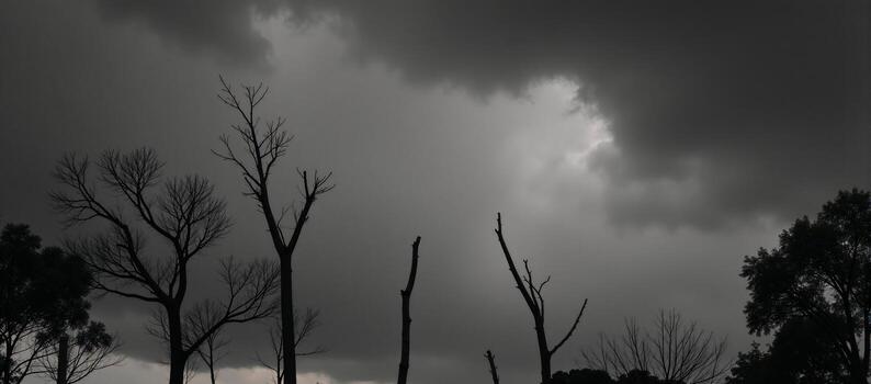 Blackandwhite drawing of tumultuous stormy sky with leafless trees photo