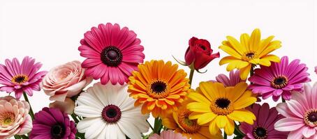 Vibrant floral arrangement against a pristine white backdrop Isolated composition photo