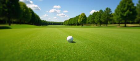 A vibrant green golf fairway framed by trees on a clear and sunny day photo