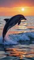 A leaping dolphin silhouetted against a sunset wave photo