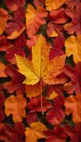 Autumn leaves create intricate patterns throughout various plant backdrops photo