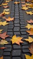 Closeup shot of colorful autumn leaves scattered across asphalt road around tire treads photo