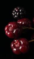 A photorealistic portrait of a magical garden with vibrant berries against a dark backdrop Pixar Disney style photo