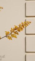Design Postcardworthy image featuring stucco molding and a branch adorned with golden leaves as a plant element Stock photo