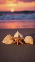 Sunset scene with three seashells and a starfish on a sandy beach photo