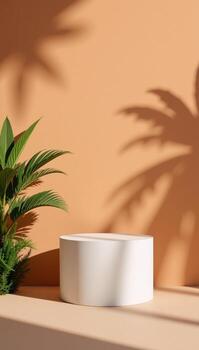A sunlit pasteltoned Earthy Orange landscape features a podium on a summers day with Palm Tree Shadows in the foreground Naturalistic Mockup photo