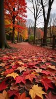 Autumn nature park backdrop showcasing maple leaves falling on the ground photo