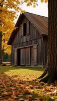 A rustic barn amidst goldenleafed autumn forest radiating nostalgic country charm photo