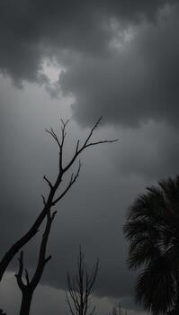 Blackandwhite drawing of tumultuous stormy sky with leafless trees photo