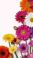 Vibrant floral arrangement against a pristine white backdrop Isolated composition photo