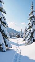 Minimalist winter wonderland background with doodled border design and empty center for subject insertion photo