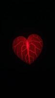 An abstract glowing red heart featuring visible cracks against a dark backdrop photo