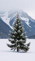 Snowdusted evergreen tree against a backdrop of misty mountains photo