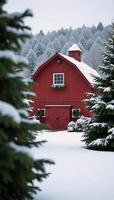 Snowy countryside scene featuring a cozy lighted red barn amidst evergrees photo