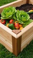Drawing showcases a rustic raised vegetable garden bed made of wood photo