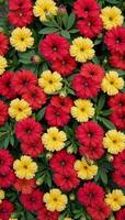 A vibrant pattern featuring various colorful blooms photo