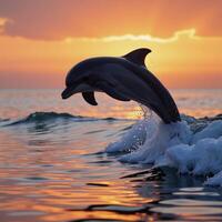 A leaping dolphin silhouetted against a sunset wave photo