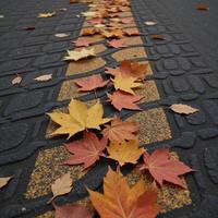 Closeup shot of colorful autumn leaves scattered across asphalt road around tire treads photo