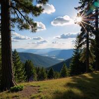 Scene featuring a sunlit nature landscape with natural elements like trees flowers and water photo