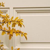 Design Postcardworthy image featuring stucco molding and a branch adorned with golden leaves as a plant element Stock photo