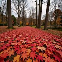 Autumn nature park backdrop showcasing maple leaves falling on the ground photo