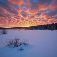 Winter sunrise over a snowy field photo