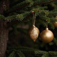 Gold ornaments adorn a tree photo