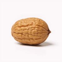 Isolated walnut nut with full depth of field on white background photo