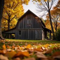 A rustic barn amidst goldenleafed autumn forest radiating nostalgic country charm photo