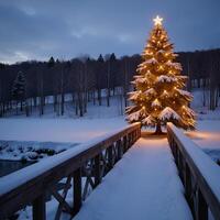 A snowy bridge leads to a twinkling Christmas tree in a wintry landscape photo
