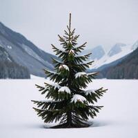 Snowdusted evergreen tree against a backdrop of misty mountains photo