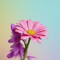 Create a colorful springinspired flowerfilled pastel gradient background with daisies and feathers for a vibrant soft and decorative nature design photo