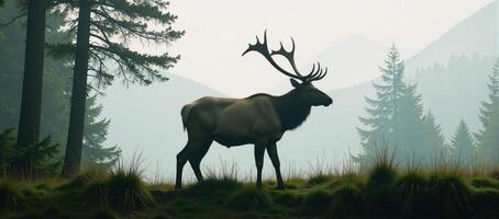 Fulllength elk silhouette superimposed over a detailed forest scene double exposure digital art photo