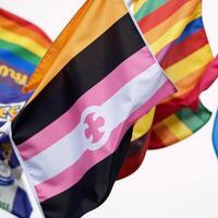 Bold depiction of rainbow flags symbolizing diversity love and pride within the LGBTQ community photo