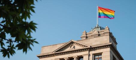 Government structure adorned by the Gay Pride flag photo