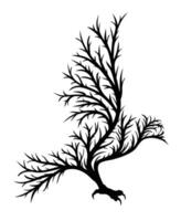 The symbol of bird of prey in the autumn forest. vector