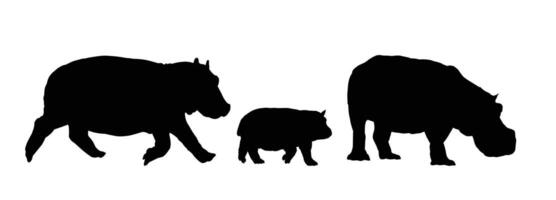 The set silhouette of large hippos. vector