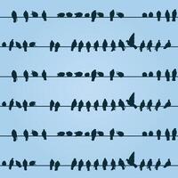 Seamless blue background with birds on a wire. vector
