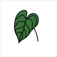 A green leaf with a black outline on a white background vector