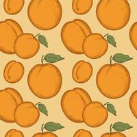 Seamless pattern with engraved apricots fruits. Hand drawn repeating background with juicy fresh apricot. Desert, sweets, healthy food. For print, textile, label, template, logo, card, paper vector