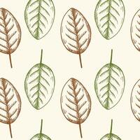 Seamless pattern with engraved tobacco leaves, floral rapport. Hand drawn repeating background with weed plants for print, paper, wrapping, card, textile, label, design. Botanical illustration vector