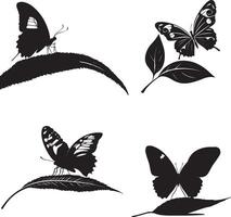 Silhouette of butterfly sit a leave on white background vector