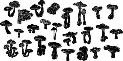 a set of black and white mushrooms on a white background vector