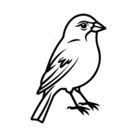 canary icon or modern line symbol. line art and icon design with bold outline. Black and white Pixel Perfect minimalistic symbol isolated white background. Silhouette simple thin sign vector
