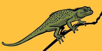 Lizard. Green lizard sitting on tree branch. Yellow background. Bright illustration vector