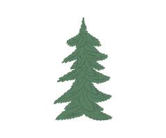 The Christmas tree is hand drawn in a flat style. Hand drawn illustration. vector