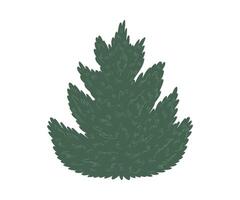 The Christmas tree is hand drawn in a flat style. Hand drawn illustration. vector